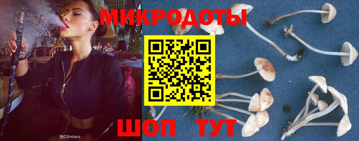 Обнинск  Галлюциногенные грибы прущие грибы  Вход с VPN 