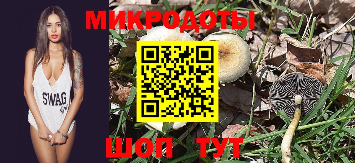 Псилоцибиновые грибы GOLDEN TEACHER Обнинск